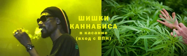 сатива Аркадак