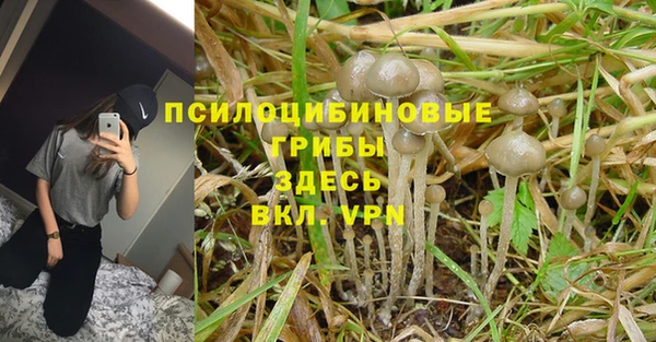 меф Алзамай