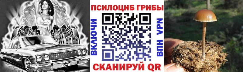 Галлюциногенные грибы Psilocybe  МЕГА маркетплейс  Североуральск  закладка 