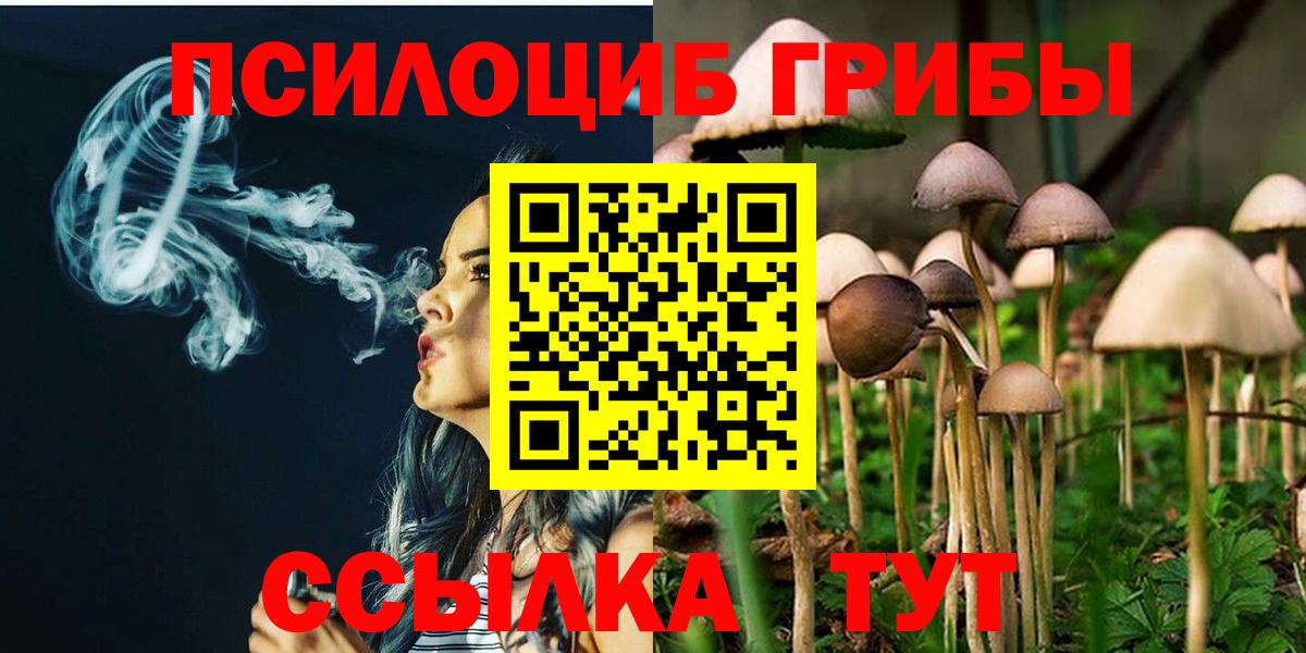 Псилоцибиновые грибы прущие грибы Североуральск